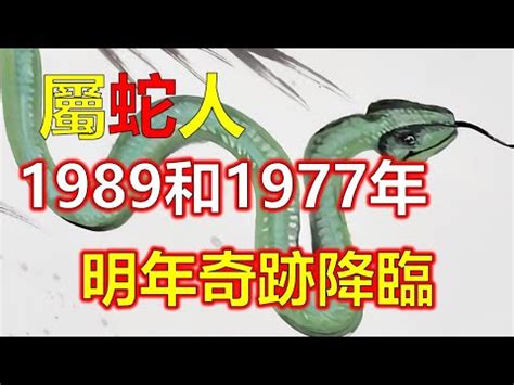 1989年 蛇 五行|1989年属蛇是什么命 1989年属蛇命运